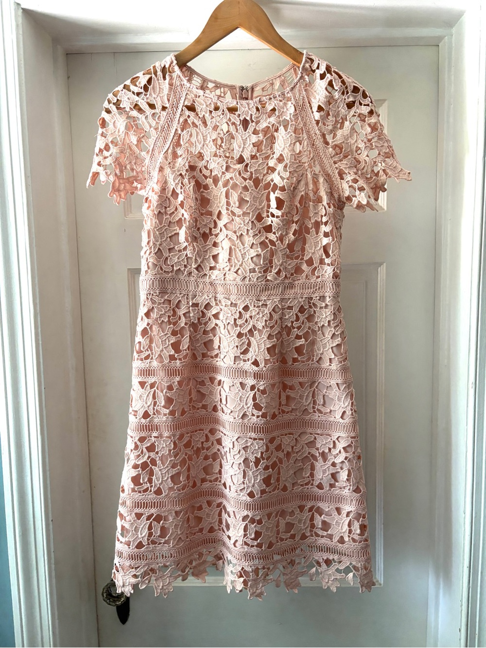 Eliza J Lace Sheath Mini Dress Crochet Lace Overlay Blush Pink Size 4P - Picture 2 of 13